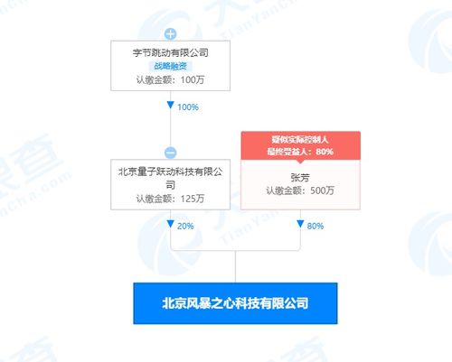 字節(jié)跳動(dòng)關(guān)聯(lián)公司布局基礎(chǔ)軟件服務(wù)領(lǐng)域，戰(zhàn)略投資彰顯科技生態(tài)新動(dòng)向