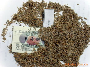 沭陽縣新河鎮(zhèn)新河街鴻翔花卉苗木場花卉種子與種苗產(chǎn)品列表及種植指南